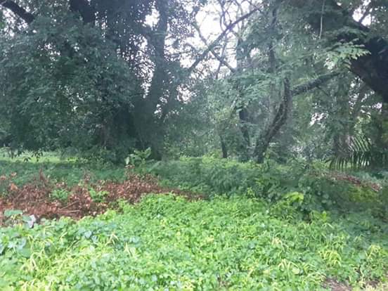 23b5ac88561e0898f7894f4174dd886b.0