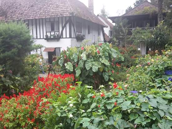 368f03f524fb9f6c1bc84046d452fb18.0