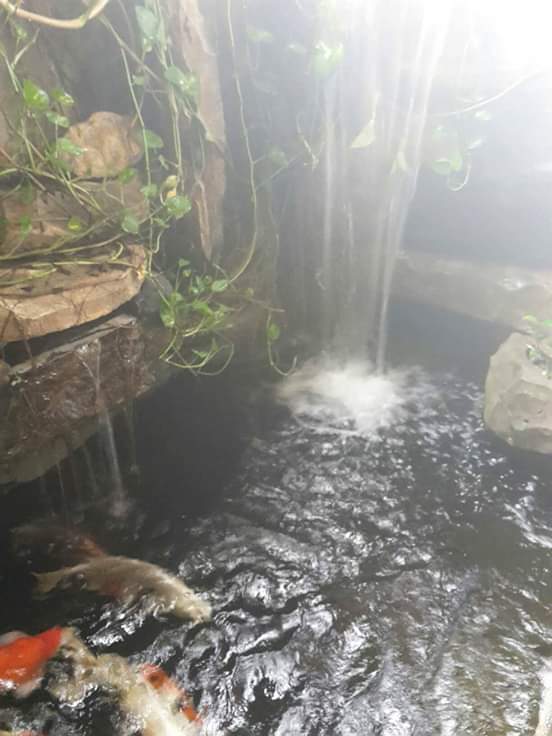 f89f6536d7a2820f987deaf1c0d07f88.0