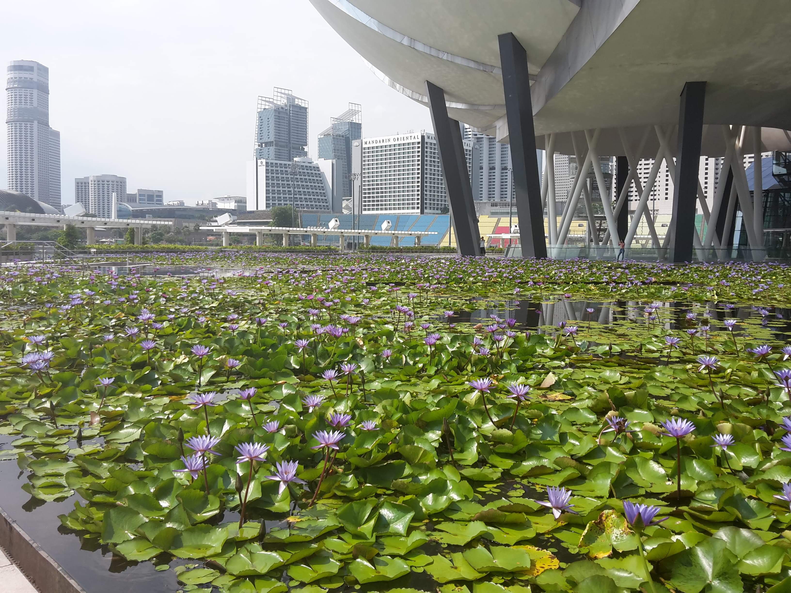 received_239883616683630