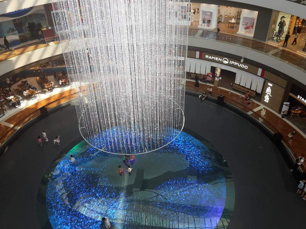 received_244405909577042