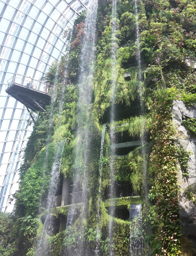 received_252561618675941