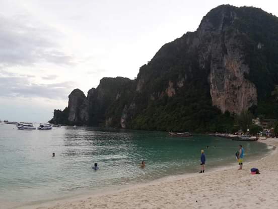 0f1a5a6804c89140b9c92c31cbc71554.0