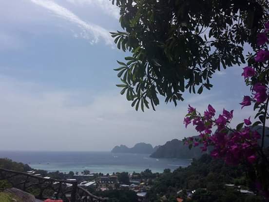 3703510424528e4126bf84d71e1a4518.0