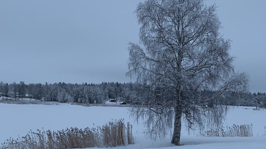 Are you “understanding” to avoid&nbsp;confronting?