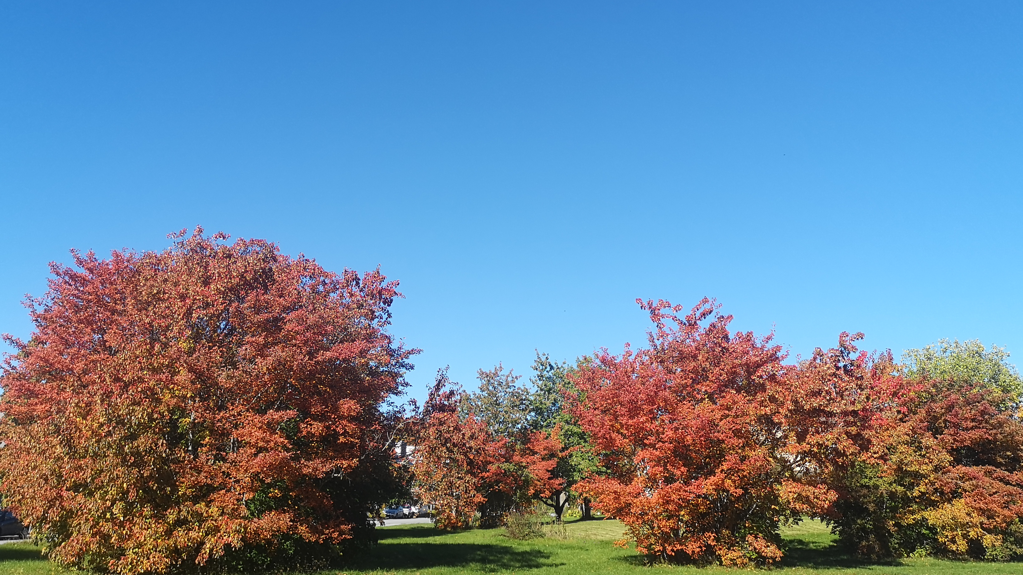 Autumn has arrived&nbsp;:)