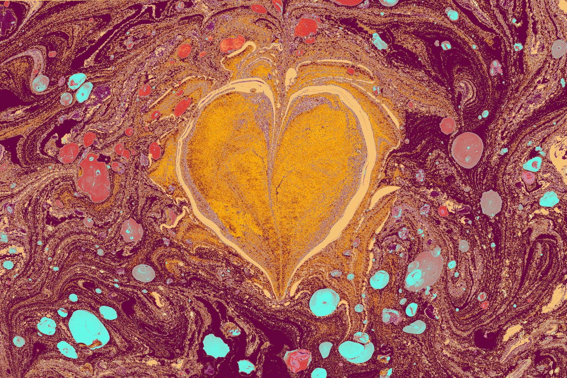 A friendly reminder to all singles: Your life is not vegan cheese! (Happy Valentine’s day)