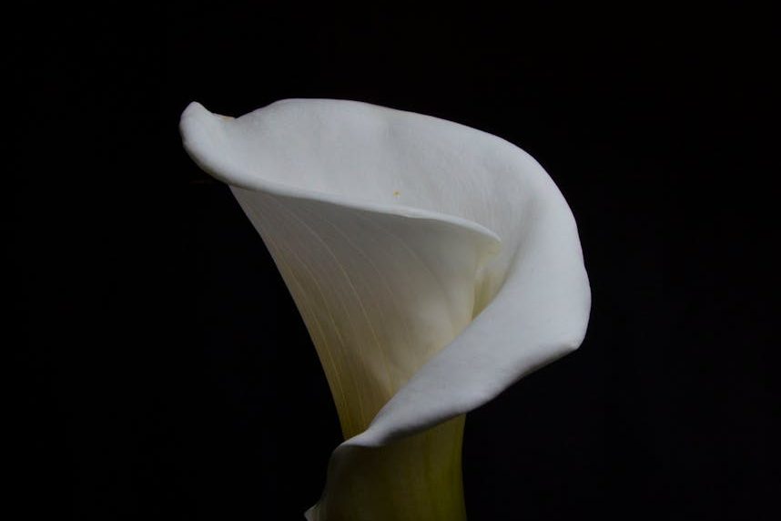 Never Been in a Relationship? These 3 Gifts Are Uniquely Yours